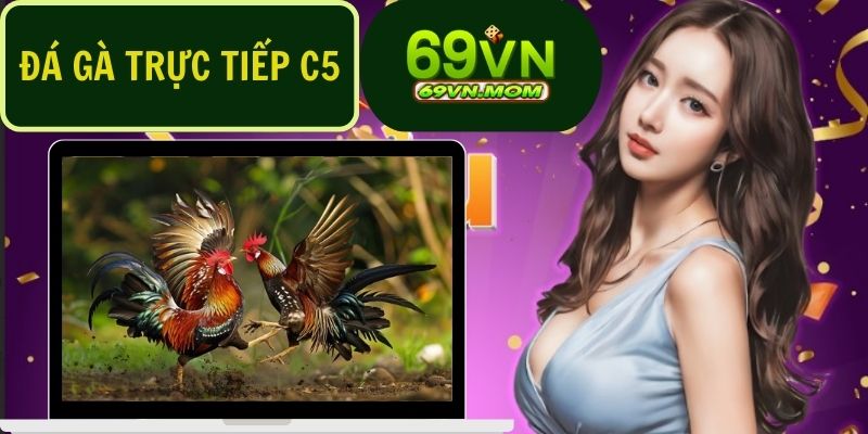 Đá Gà Trực Tiếp C5